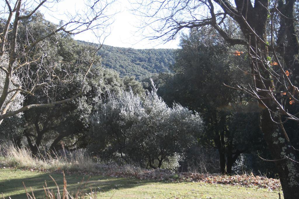La Figalie Villa Saint Jean du Pin Eksteriør billede